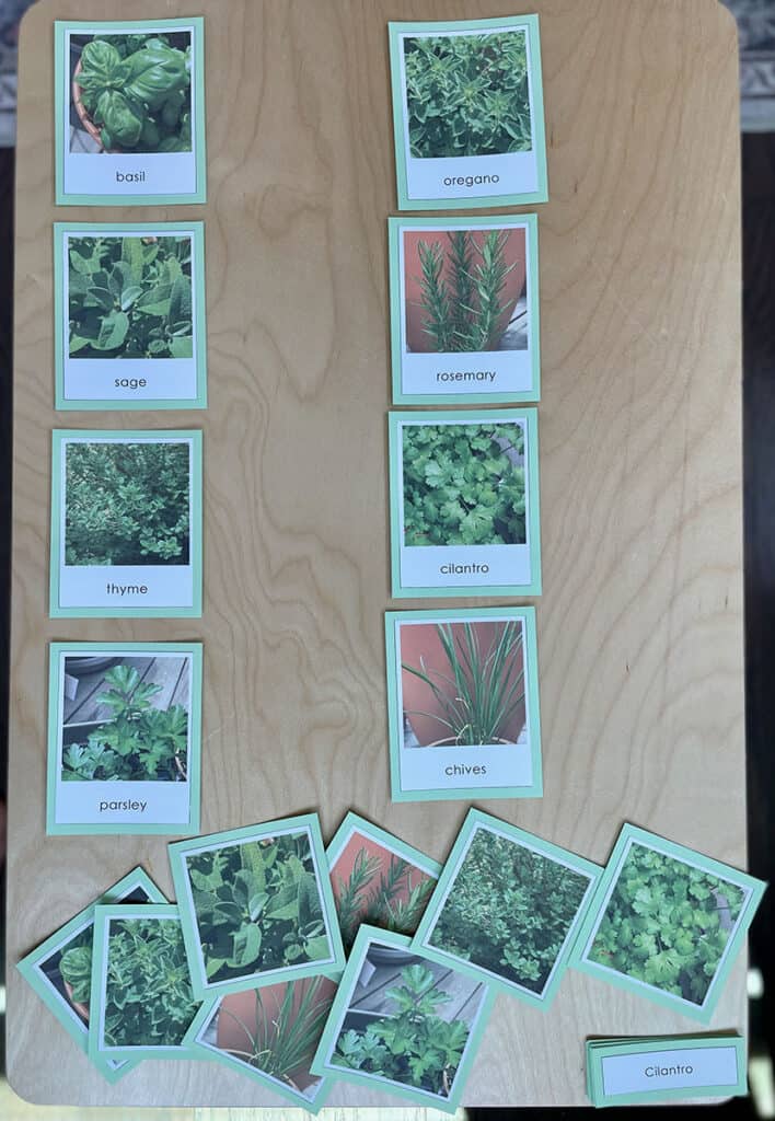 Montessori 3-part cards, Montessori language curriculum, how do you use Montessori 3-part cards?