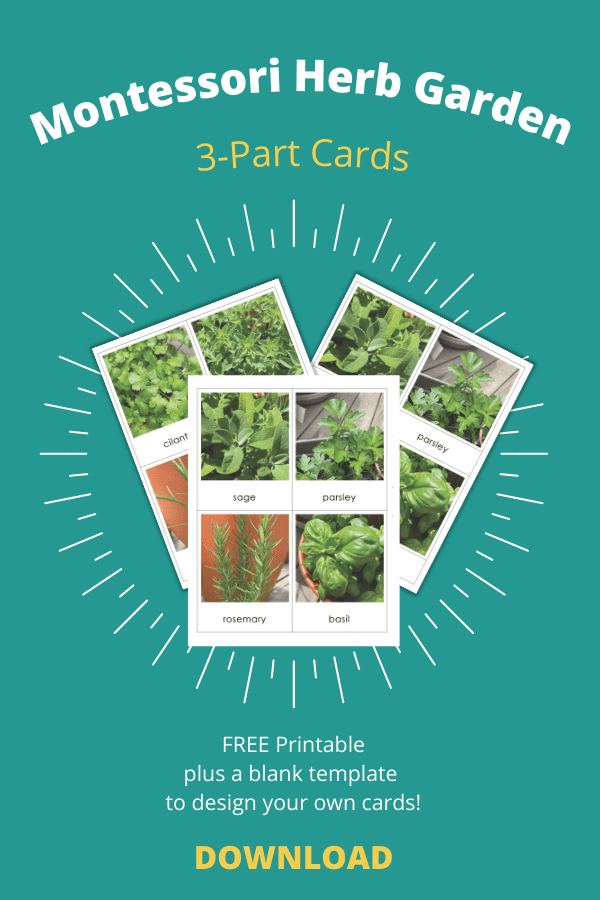 Montessori 3-part cards, homeschooling, Montessori Language Curriculum, gardening, herb garden, preschooler activities, toddler activities, free printable