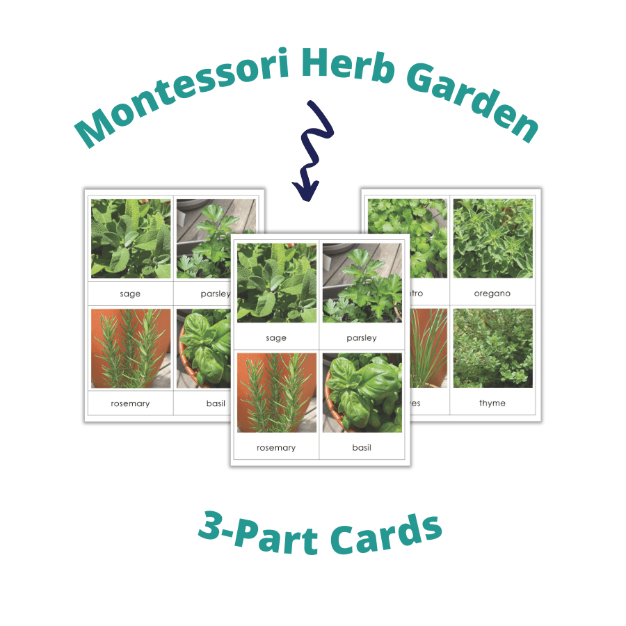 Montessori 3-part cards, Montessori Language Curriculum, gardening, herb garden, preschooler activities, toddler activities, free printable, homeschooling
