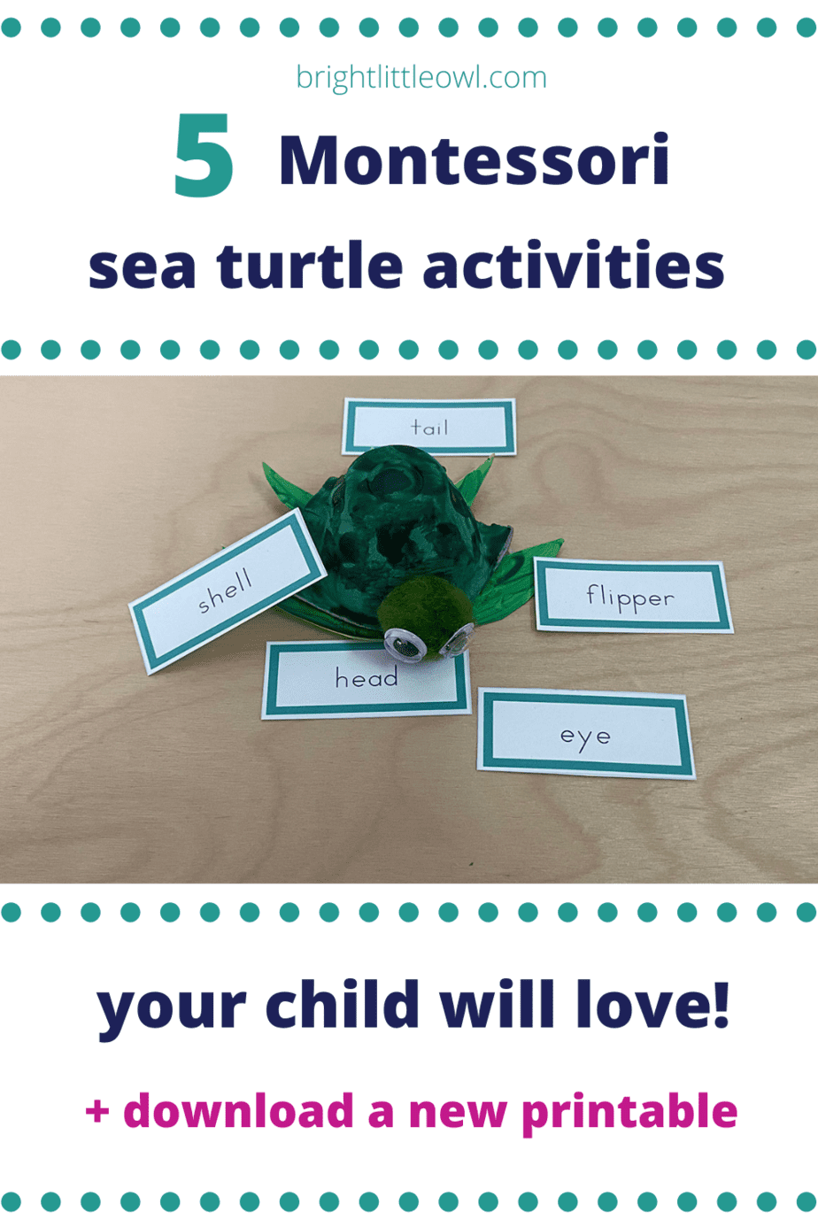 5 Easy and Fun Sea Turtle Activities For Your Ocean Theme