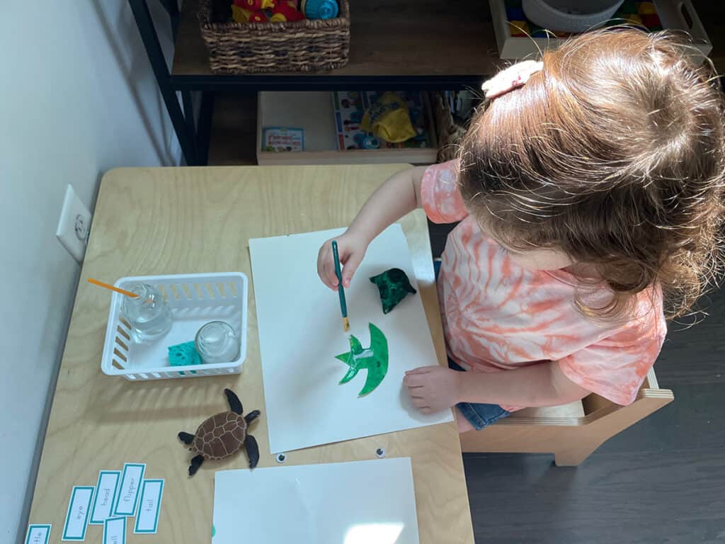 sea turtle activities, Montessori, parts of a sea turtle, glue, pieces, labels, egg carton craft, language, science, homeschooling