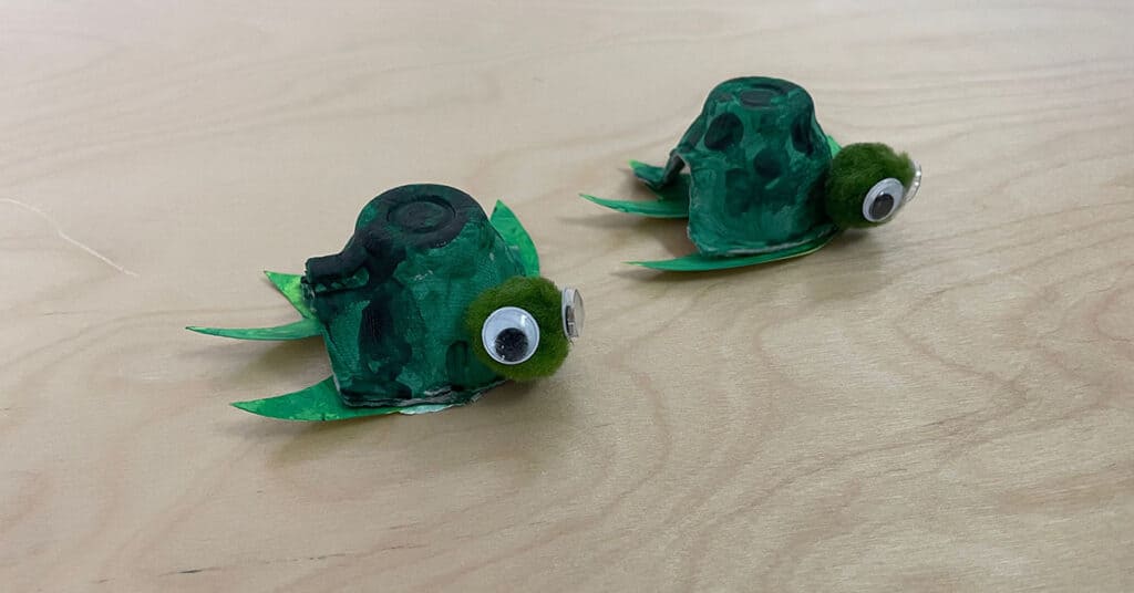 sea turtle activities, Montessori, parts of a sea turtle, craft, egg carton, homeschooling