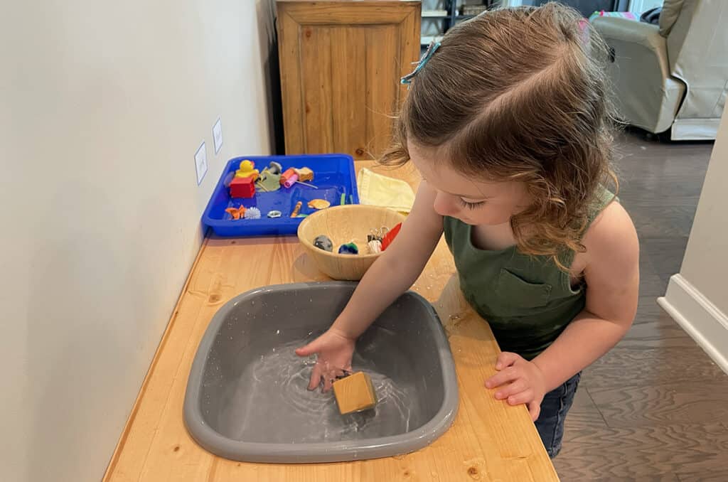 sink and float activity, Montessori, preschooler, science experiment, homeschooling