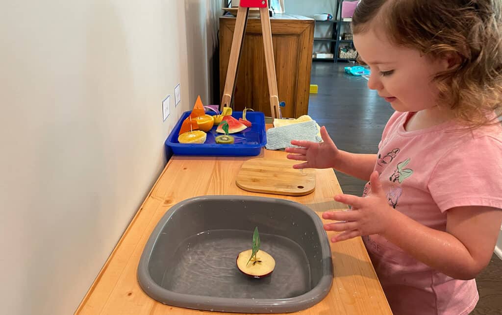 sink and float activity, Montessori, preschooler, science experiment, homeschooling, fruit boats