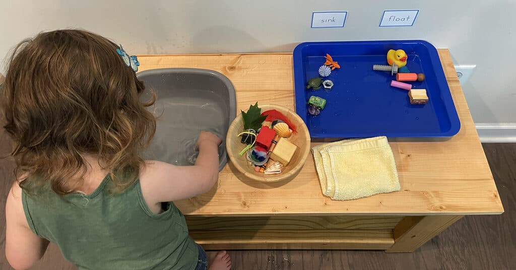 sink and float activity, Montessori, preschooler, science experiment, homeschooling