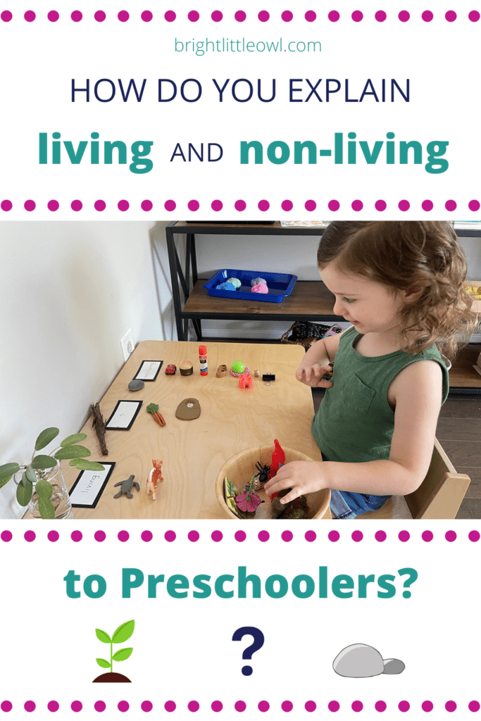 living and non-living, montessori, science, 3 year old activities, preschoolers