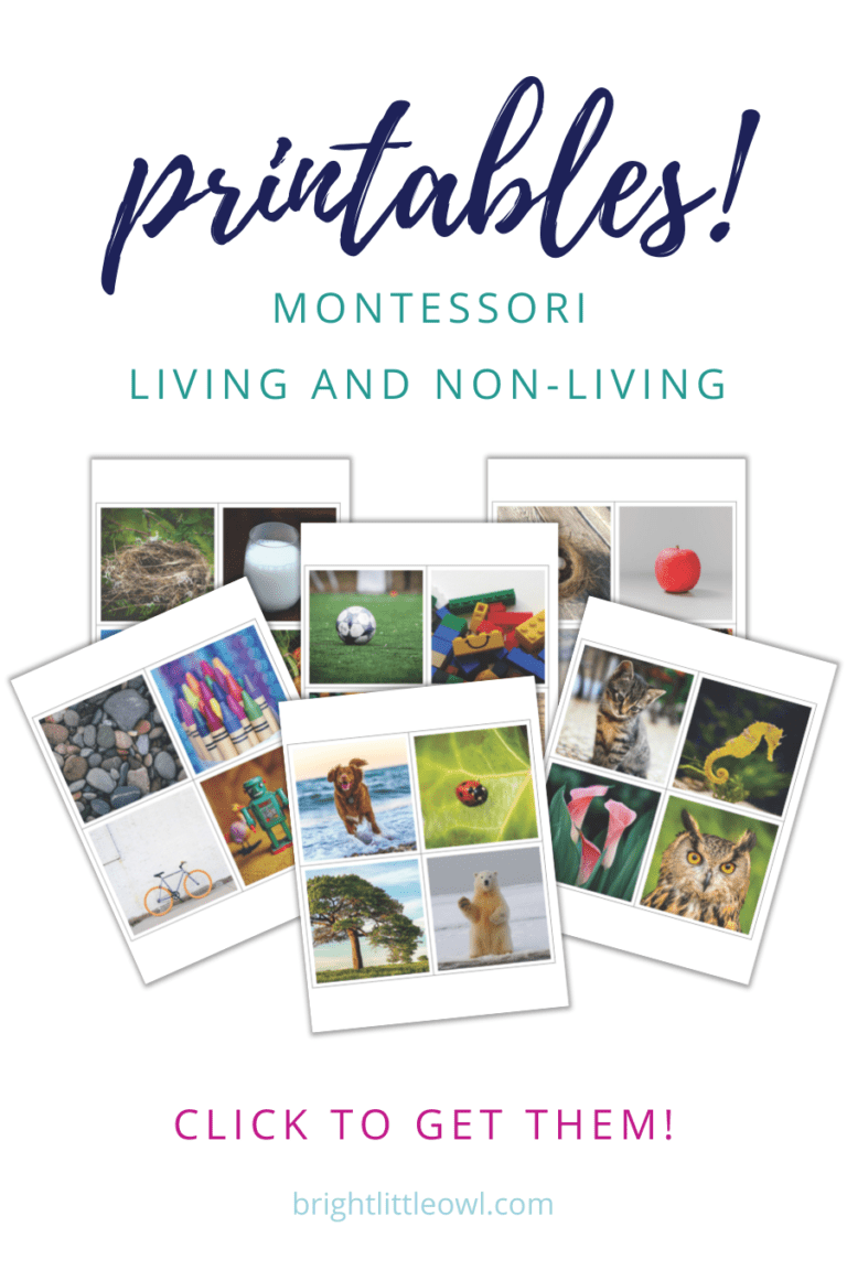 living and non-living, montessori, science, 3 year old activities, preschoolers, cards, free, printable, download