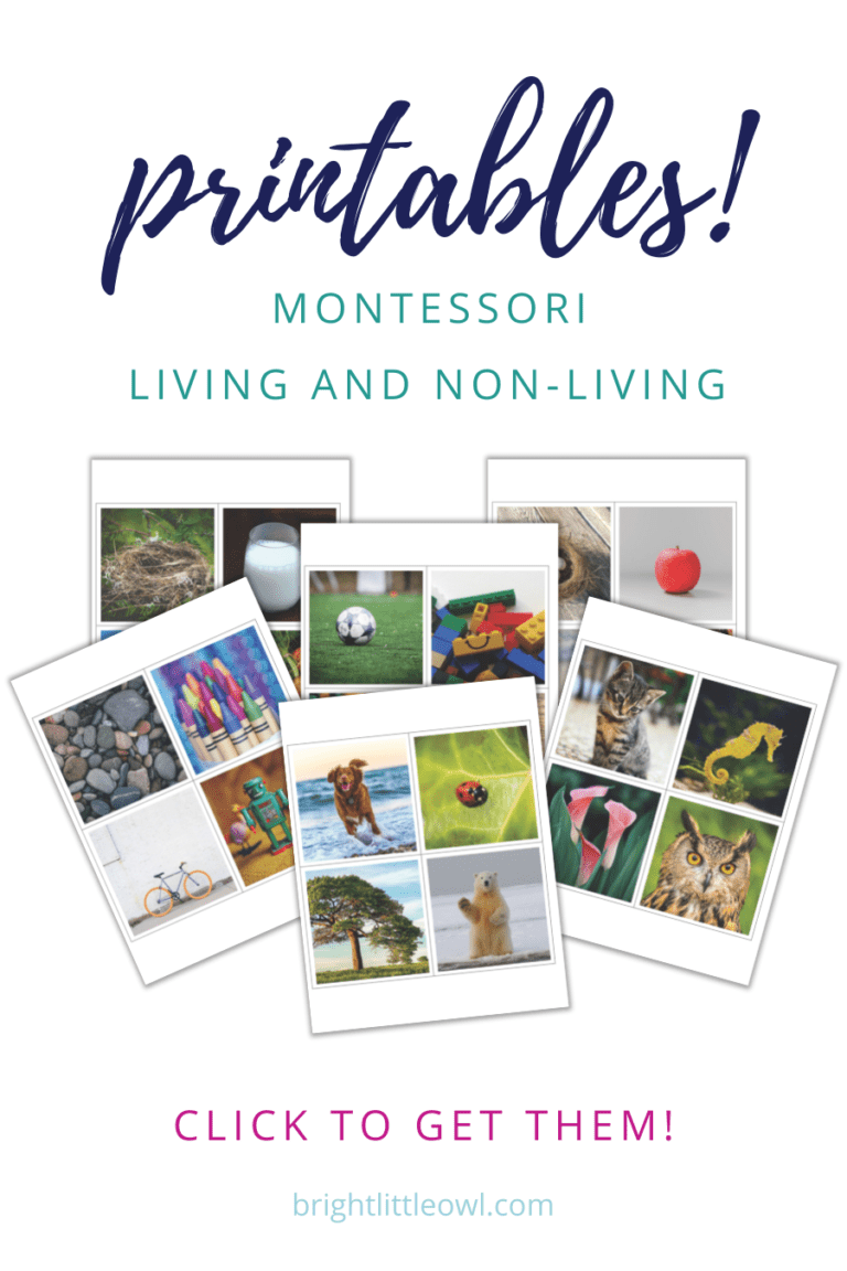 Living and Non Living Things - Characteristics & Examples