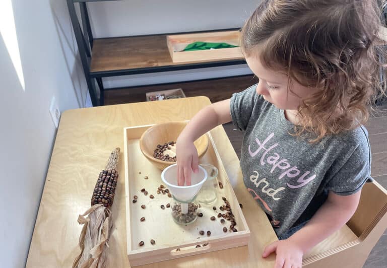 7 Montessori Fall Activities that are Fun and Easy to Set Up