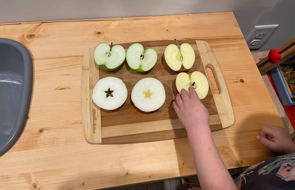 Apple stamping, Montessori, preschoolers, toddlers, parts of an apple