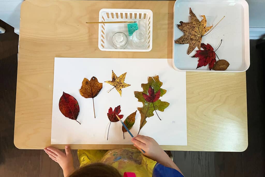 leaf activities, glue, leaf collage, fall, Montessori, homeschooling, science, preschoolers, activities, science