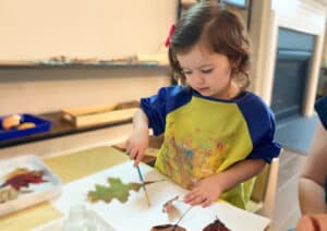 7 Awesome Leaf Activities for Preschoolers Plus a Printable