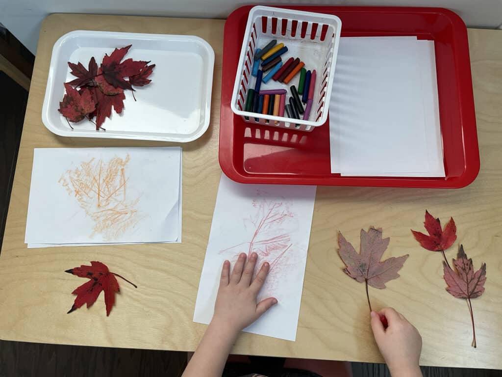 leaf activities, leaf rubbing, crayons, fall, Montessori, homeschooling, science, preschoolers, activities, science