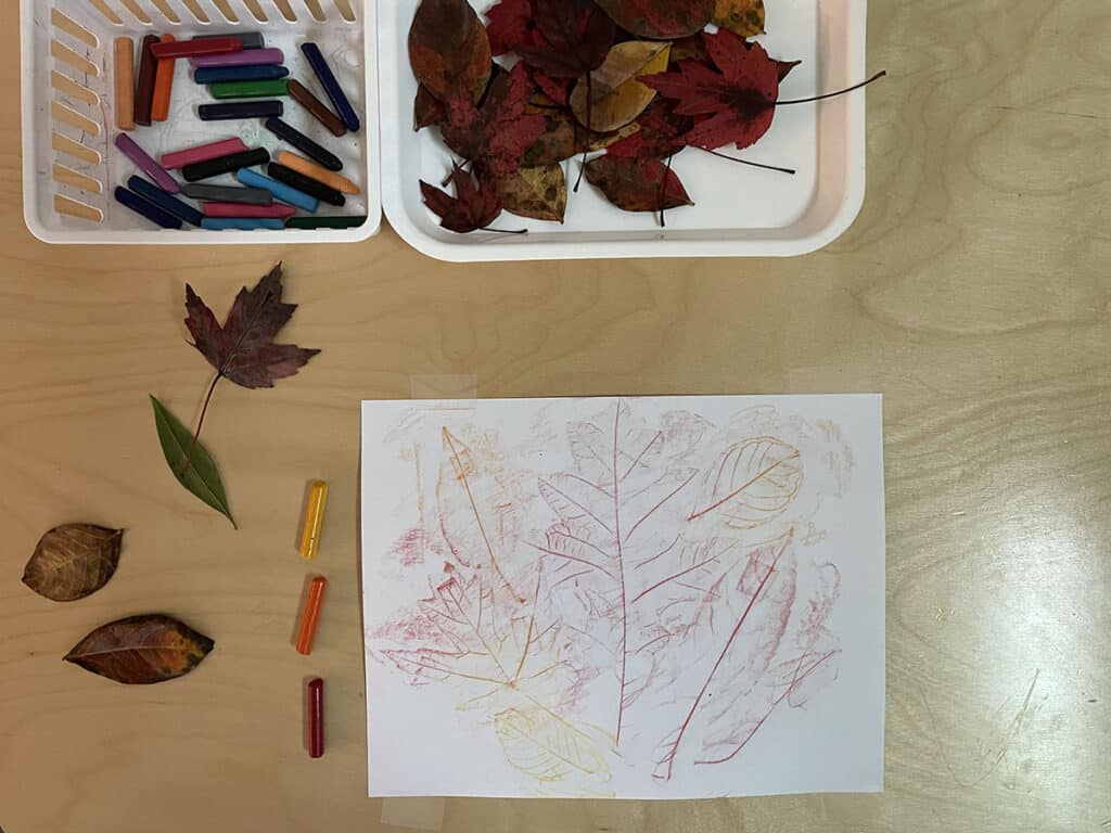 leaf activities, leaf rubbing, crayons, fall, Montessori, homeschooling, science, preschoolers, activities, science