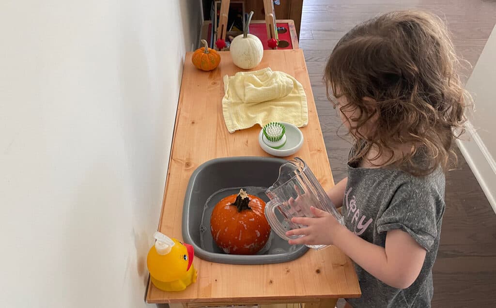Montessori fall activities, pumpkin scrubbing, homeschooling, practical life, art, preschoolers