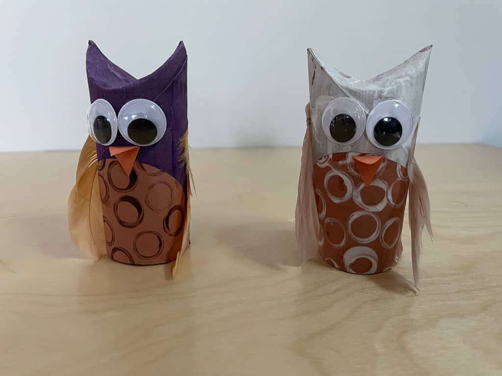 owl craft, recycled, Montessori, toilet paper roll, glue owl beak and feathers