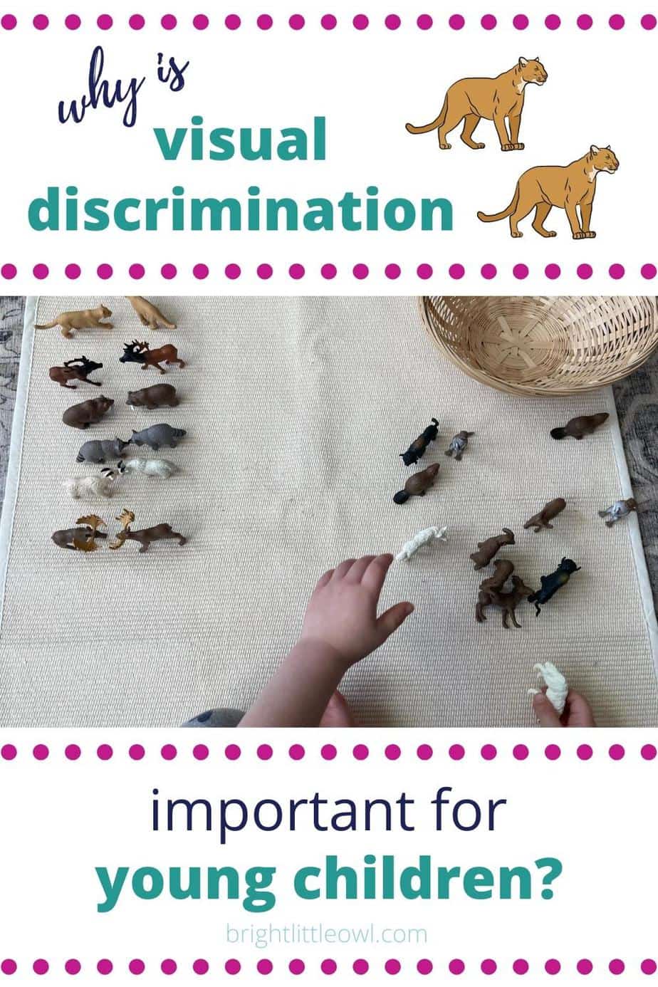 visual discrimination pin