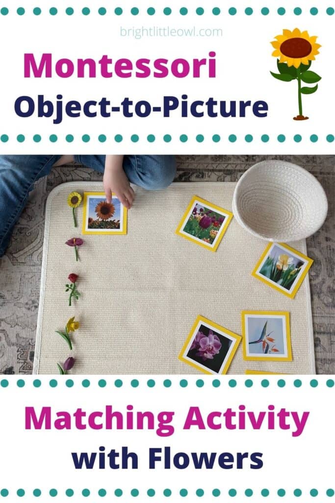 object picture match flower pin