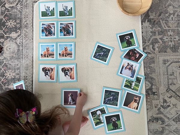 picture matching, Montessori, matching cards, concentration, memory game