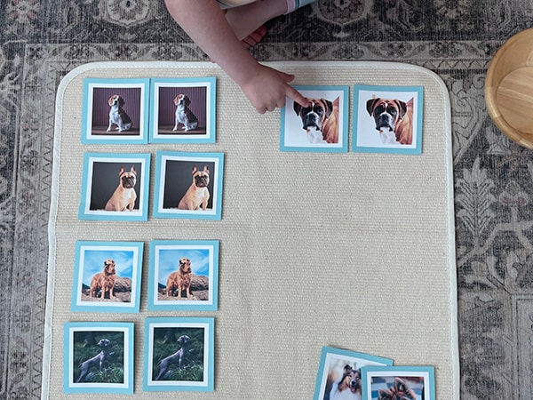Picture matching, Montessori, matching cards, dogs