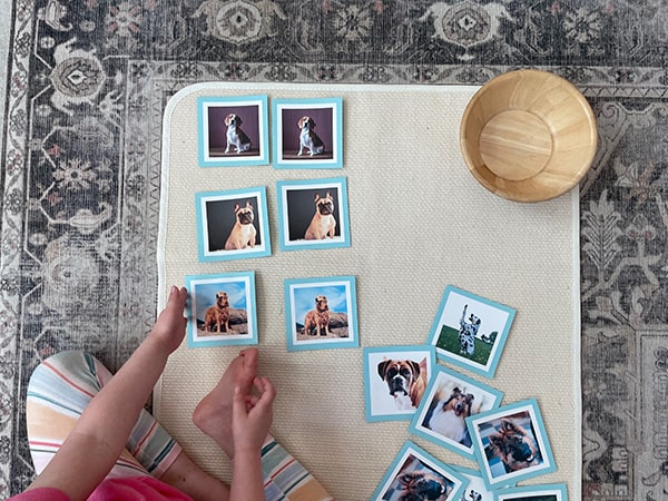 Picture matching, Montessori, matching cards, dogs