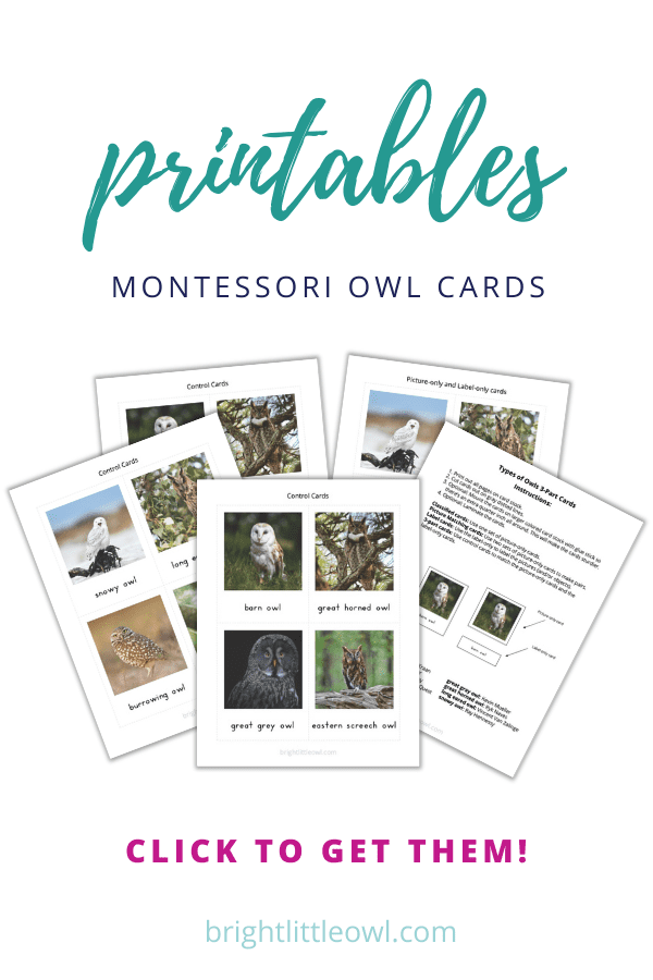 Pin on Montessori Cards Printables