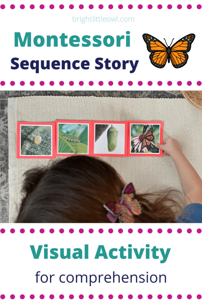 sequence story butterfly pin