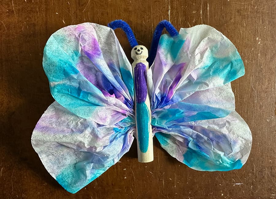 parts of a butterfly, Montessori, clothespin craft