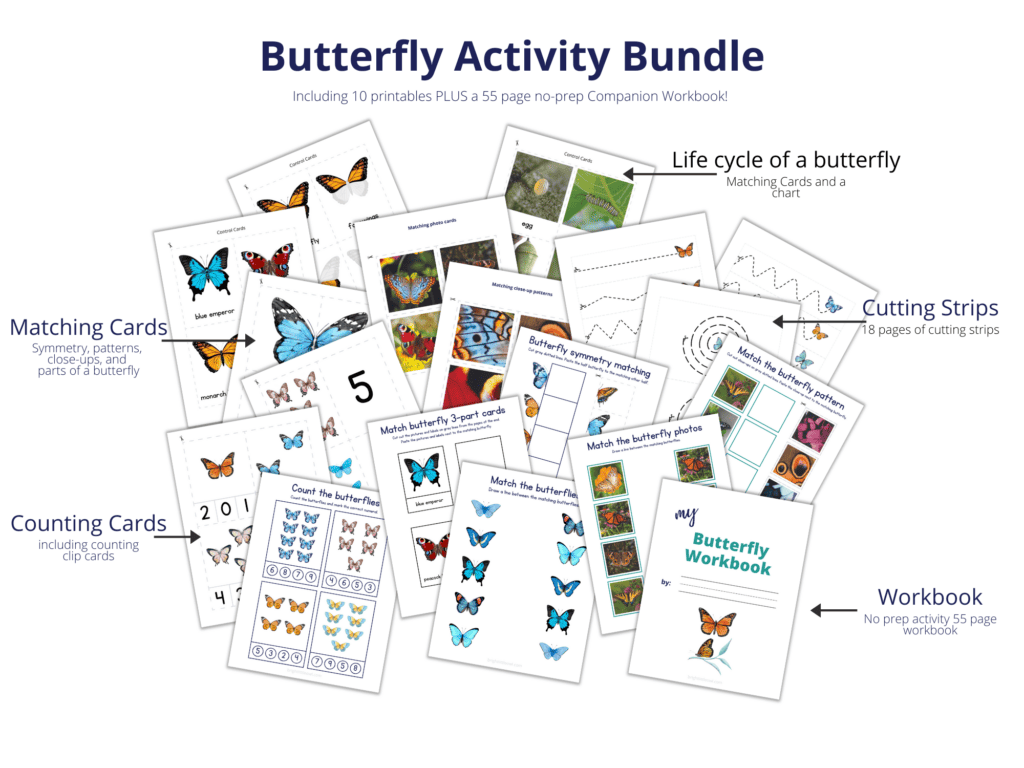 butterfly bundle mockup