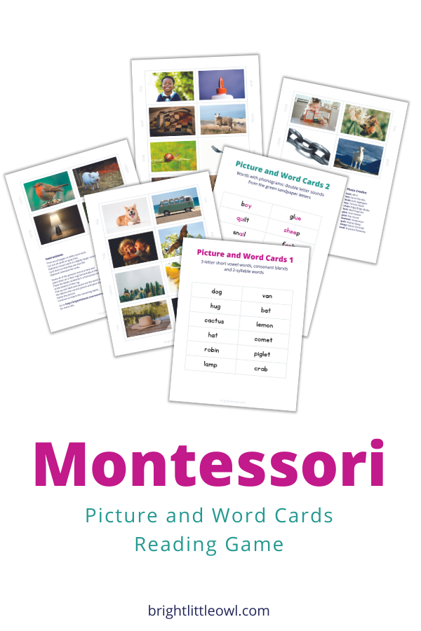 montessori, picture and word cards, word cards,
