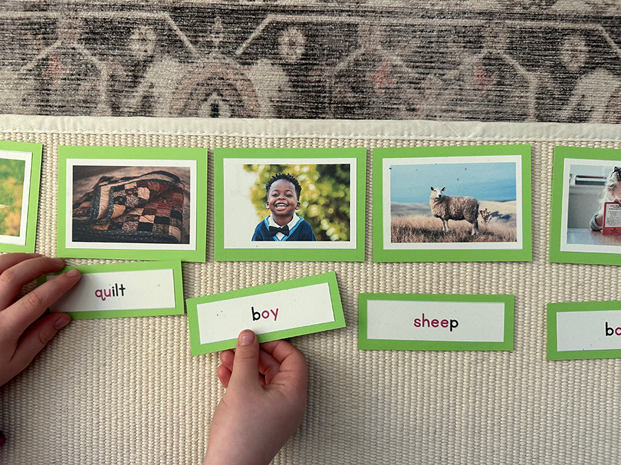 word cards, montessori, picture and word cards