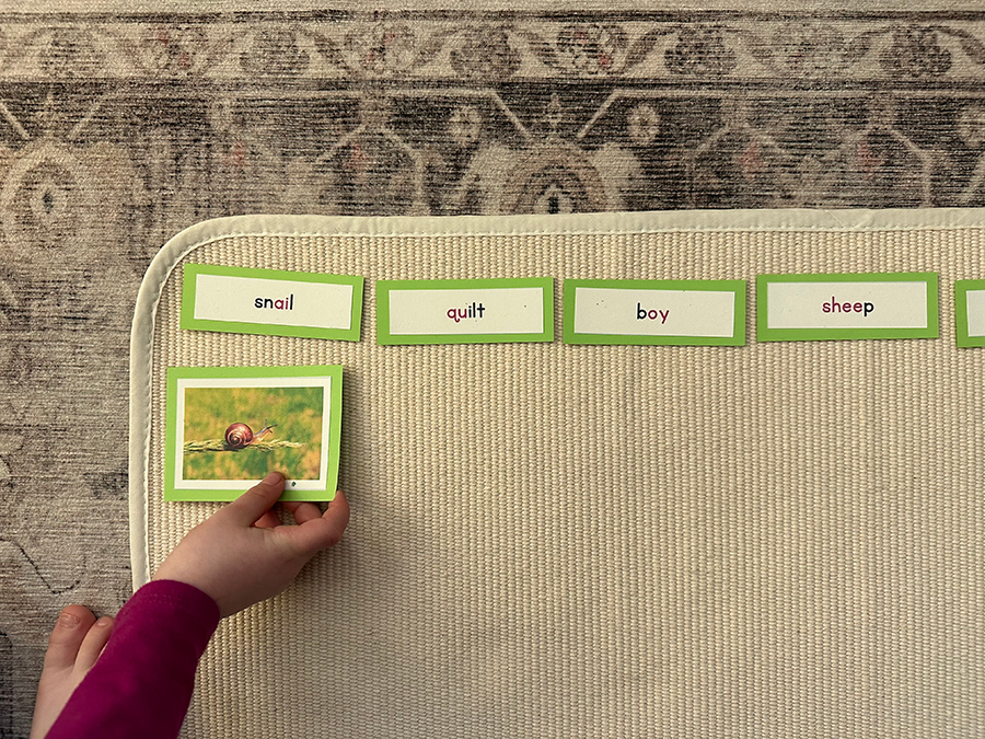 word cards, montessori, picture and word cards